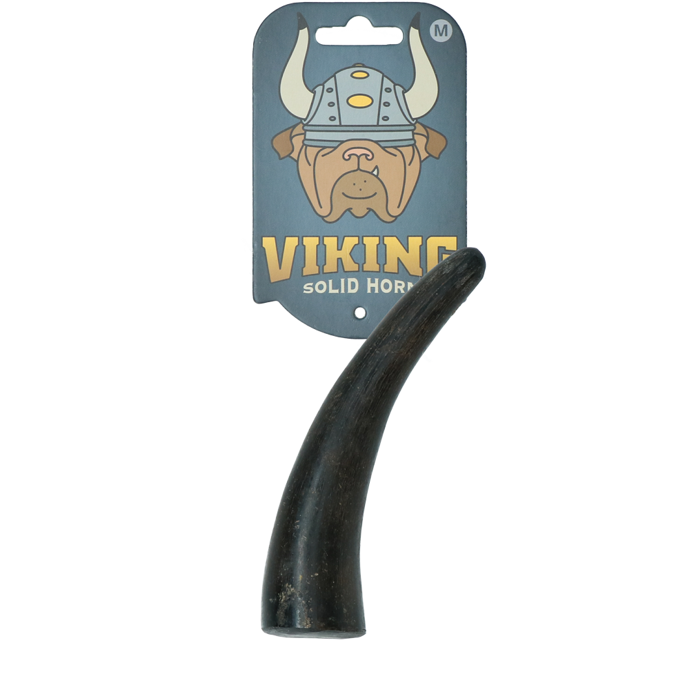 Viking whole Horn stuffed M