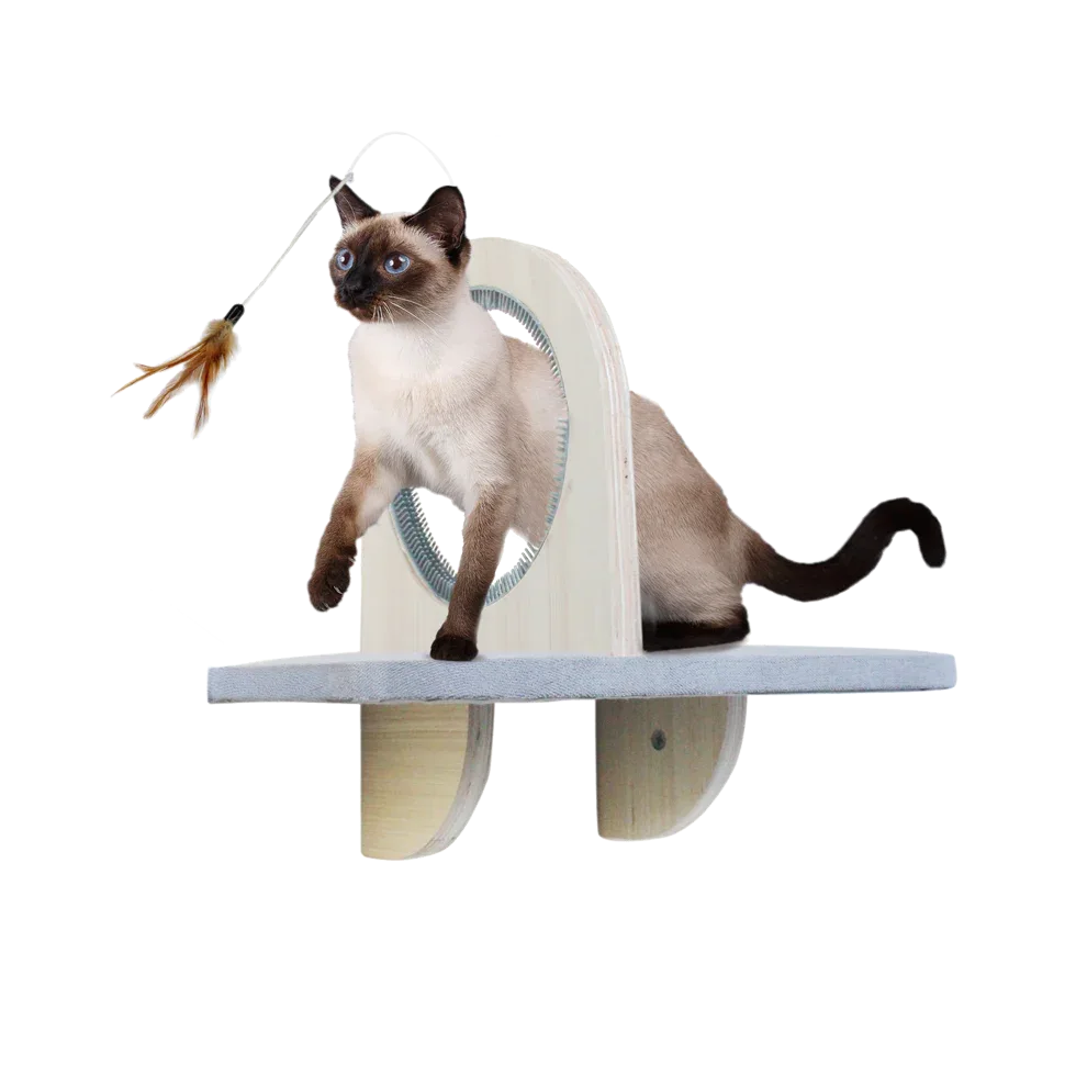 AFP Skywalk - Groom & Play Platform - PremiumHobby