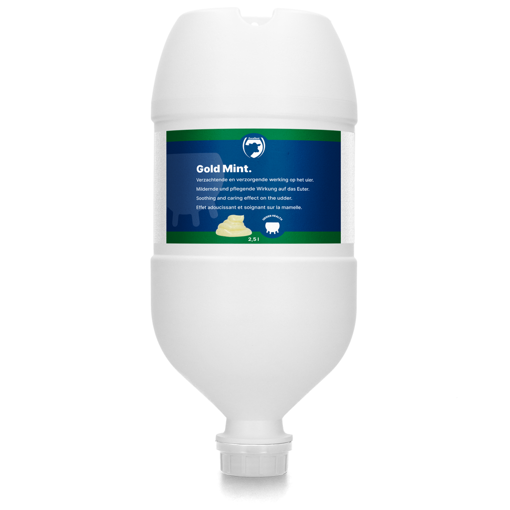 Gold Mint Hängetube