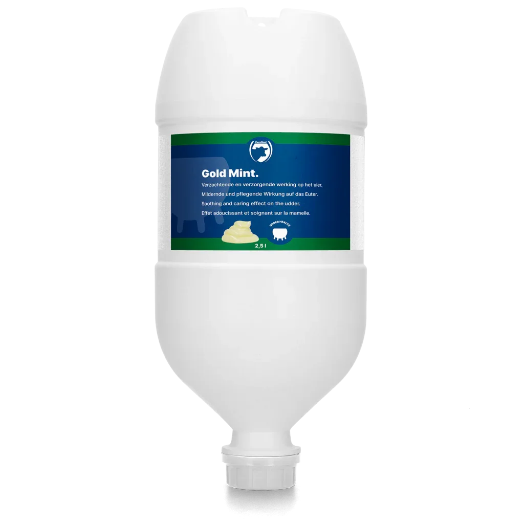 Gold Mint Hängetube - PremiumHobby