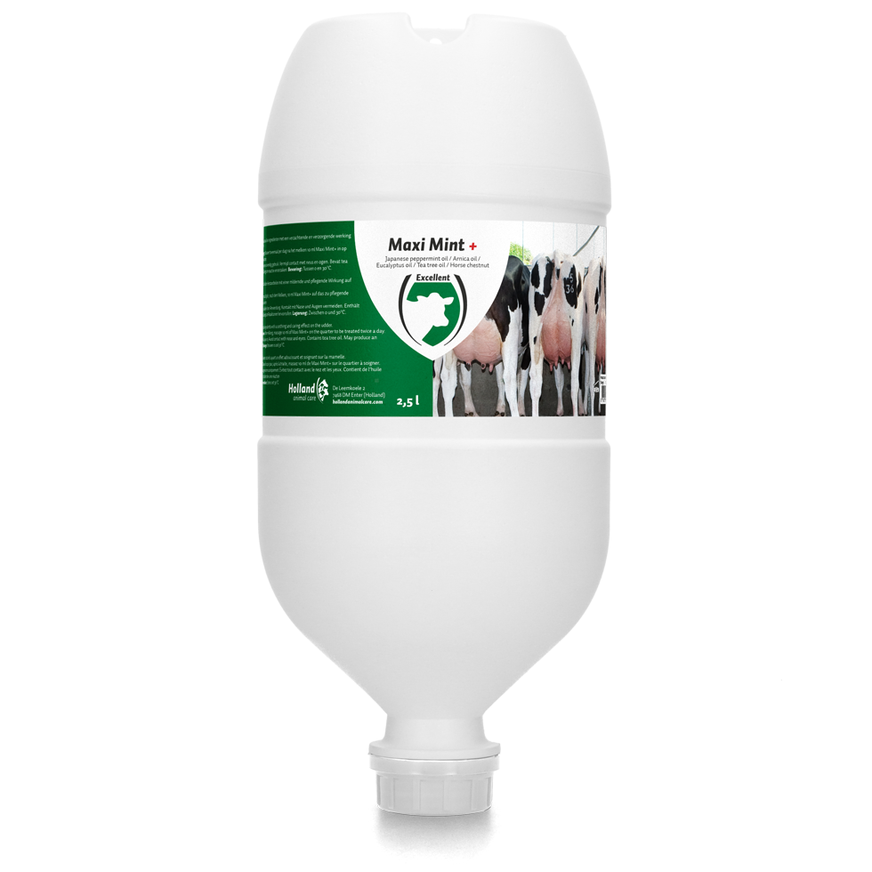 Maxi Mint Plus Hängetube