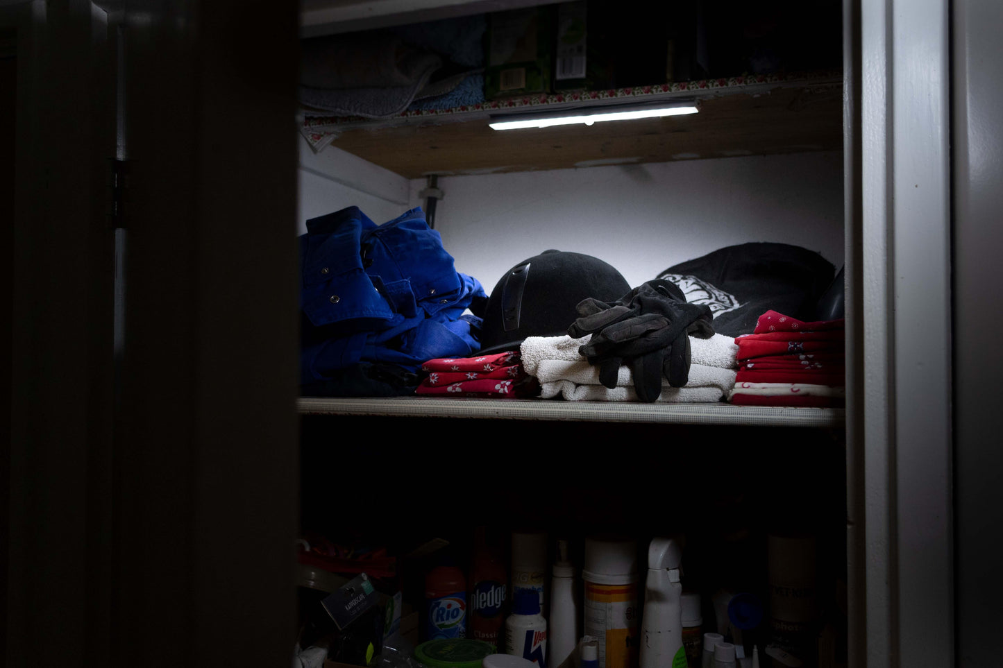 LED is more 30 x 3 cm (40 LED Lampen) - PremiumHobby