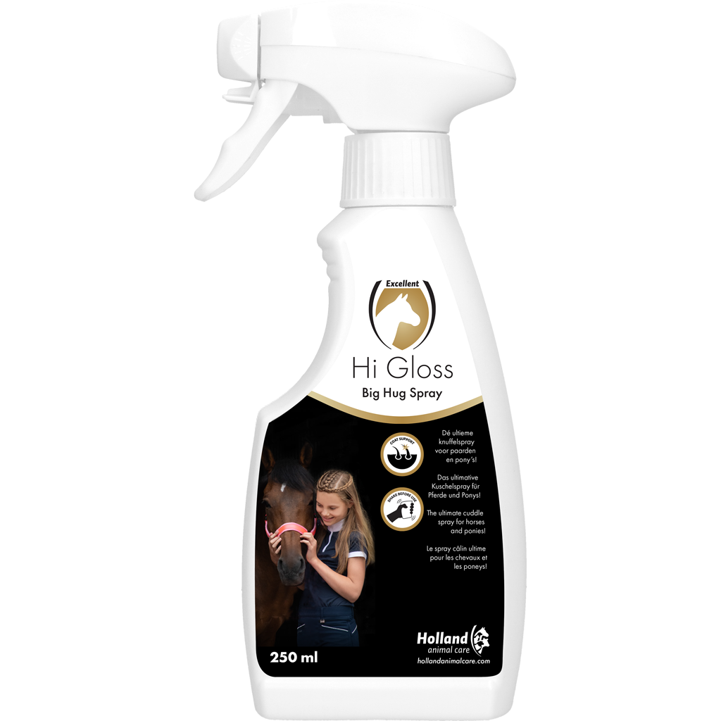 Hi Gloss Big Hug spray