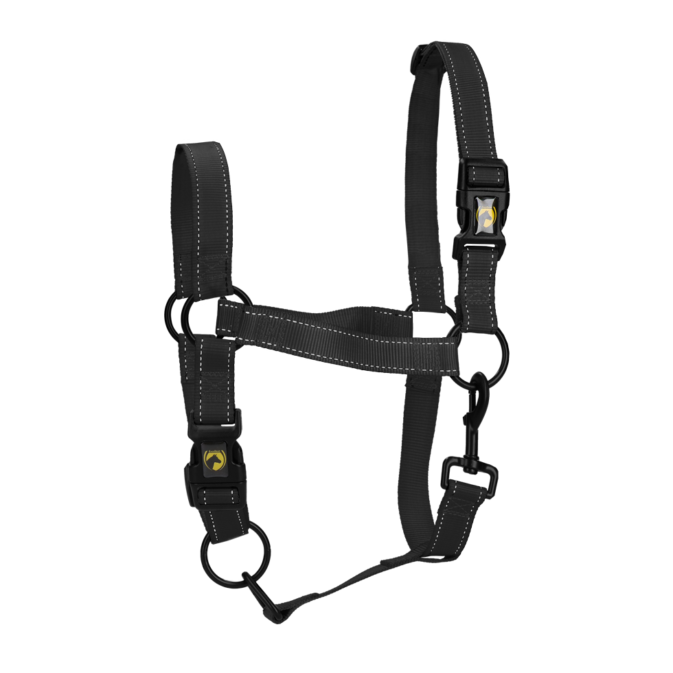 Excellent Horse Premium Halfter L Cob Schwarz