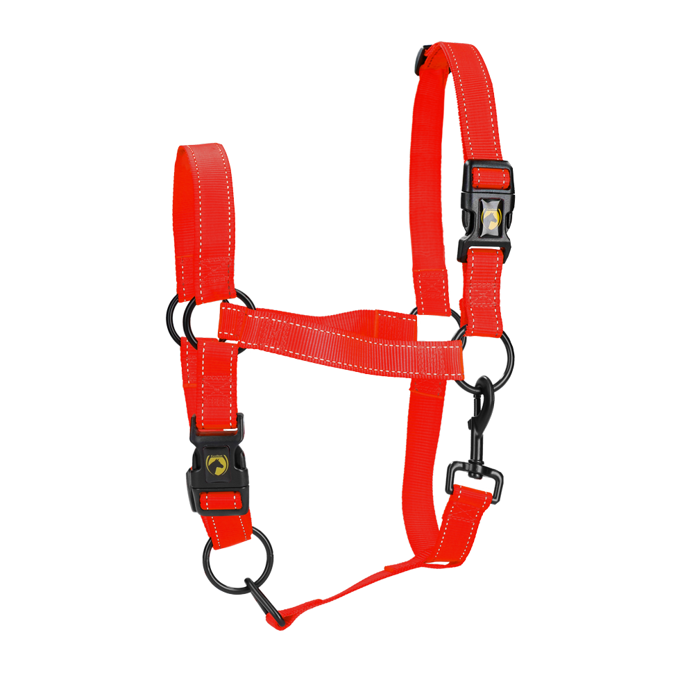 Excellent Horse Premium Halfter XL Full Rot