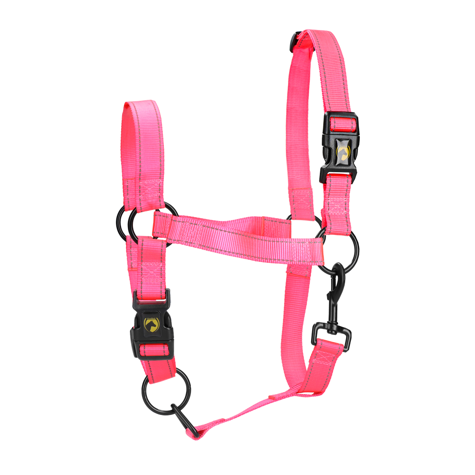 Excellent Horse Premium Halfter XL Full Rosa