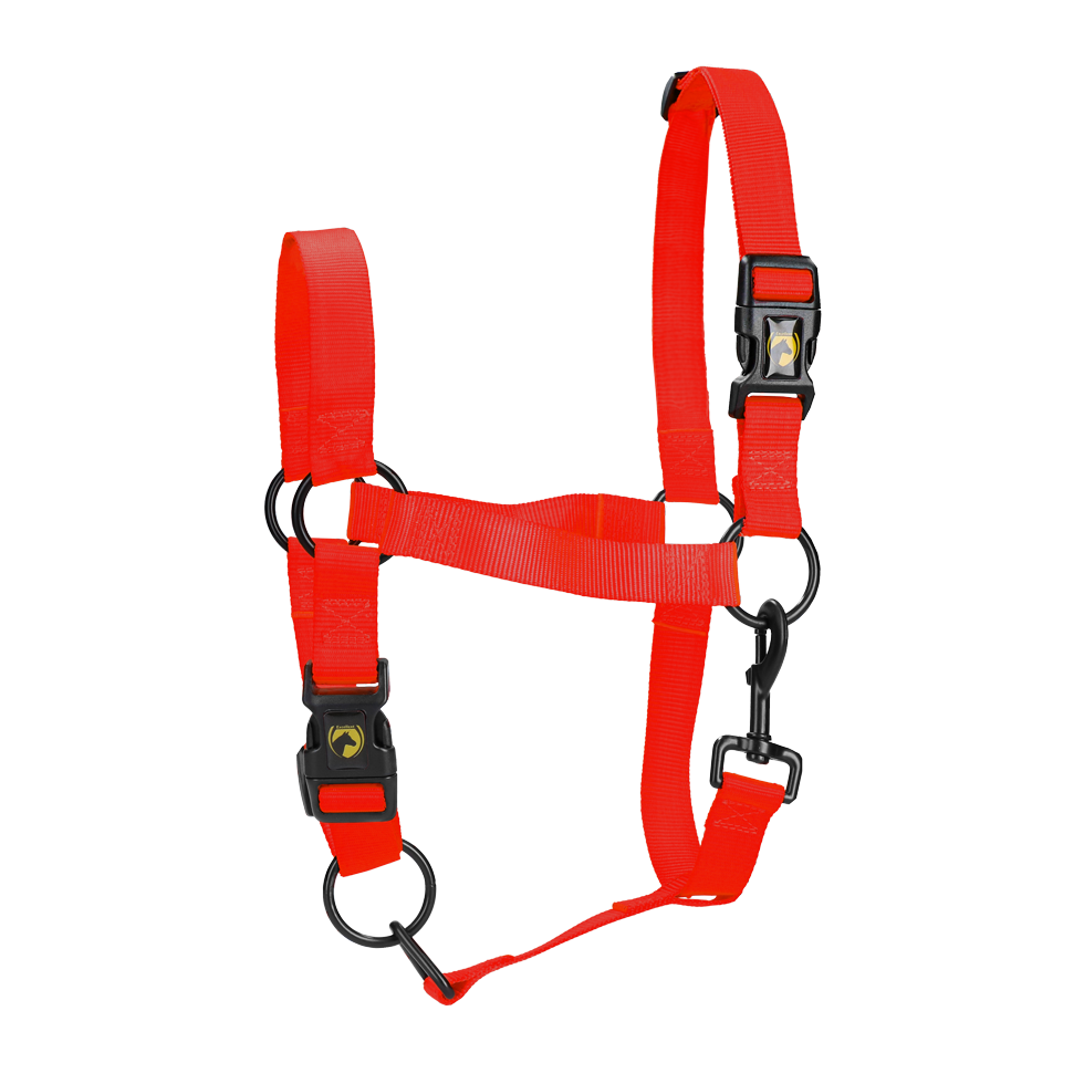 Excellent Horse Essential Halfter M Pony Rot