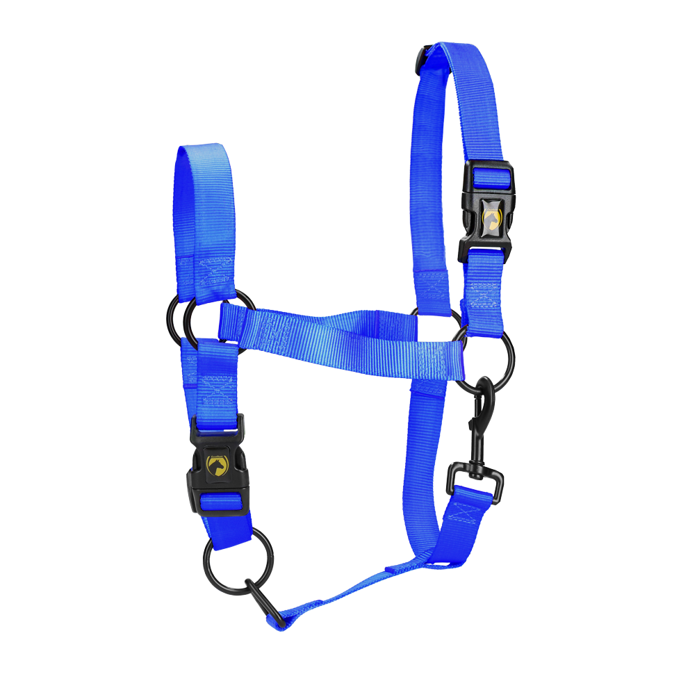 Excellent Horse Essential Halfter M Pony Blau
