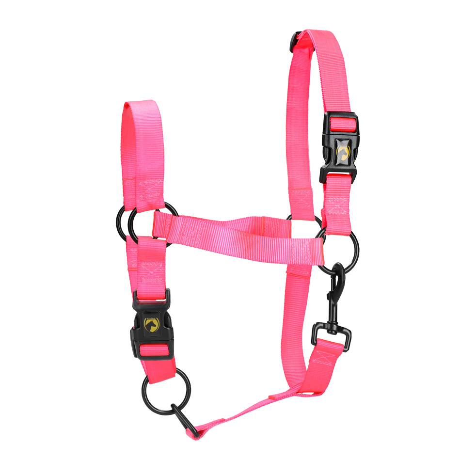 Excellent Horse Essential Halfter L Cob Rosa