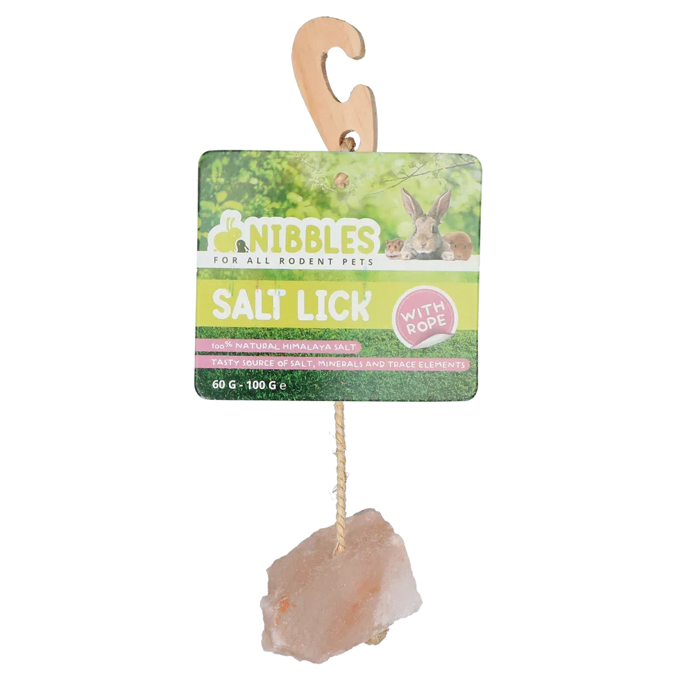 Nibbles Leckstein Himalaya für Nagetiere - PremiumHobby