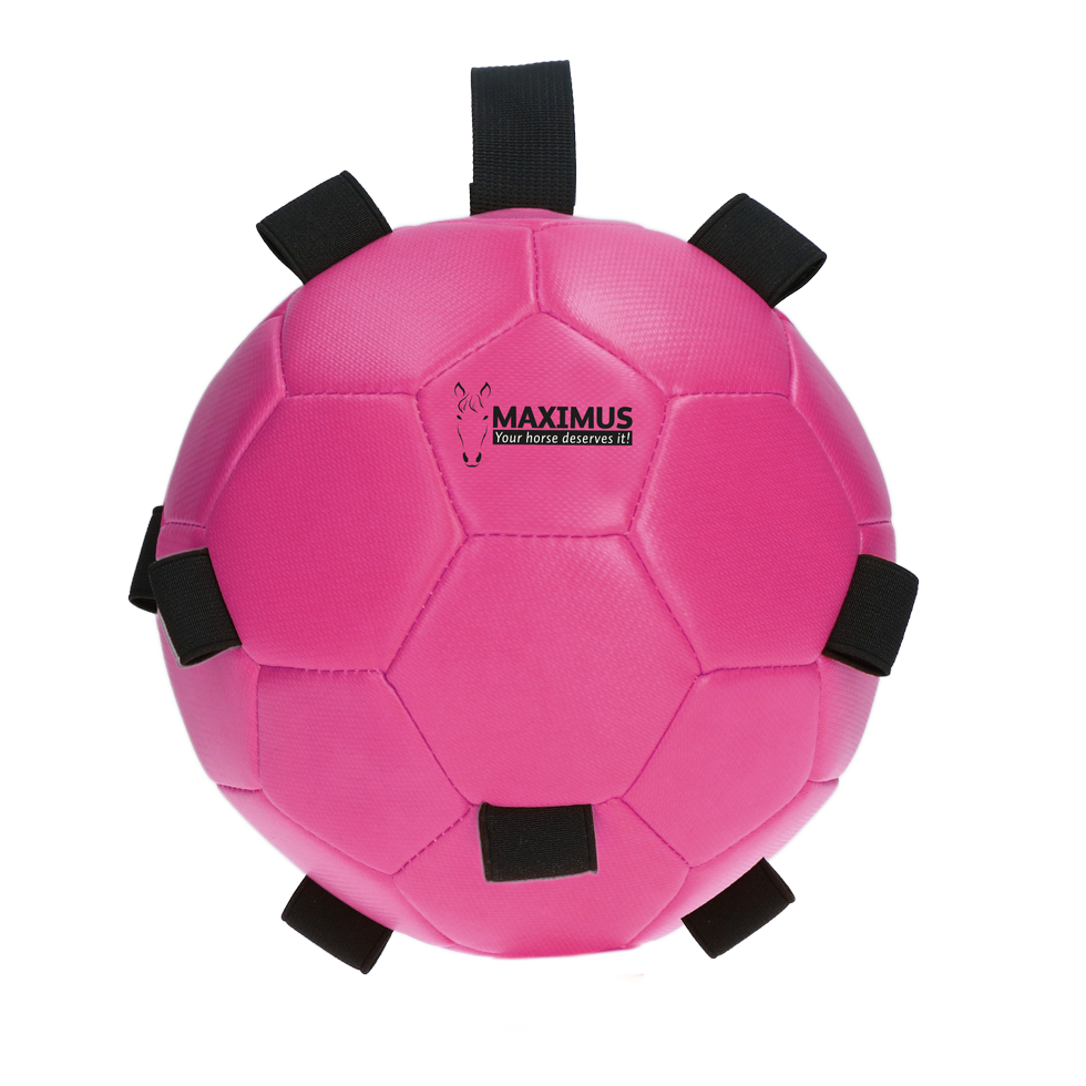Maximus Fun Play Ball Pink