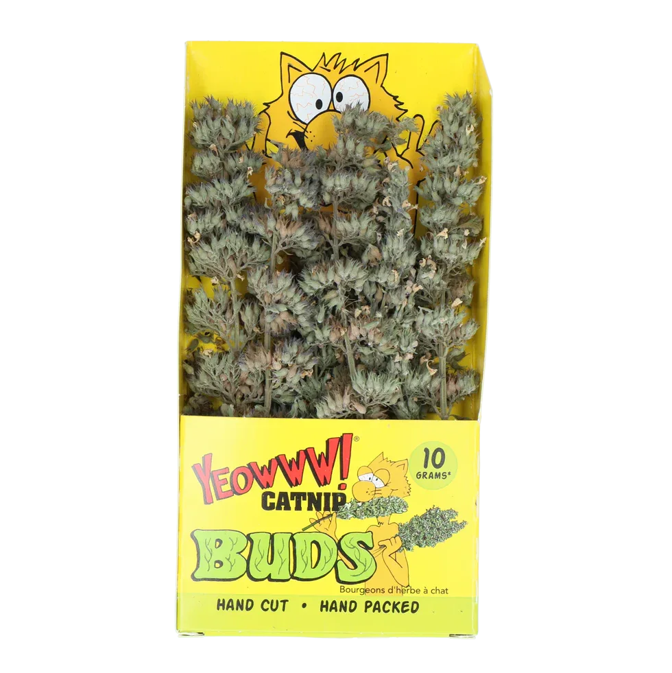 Yeowww! Catnip Buds - PremiumHobby