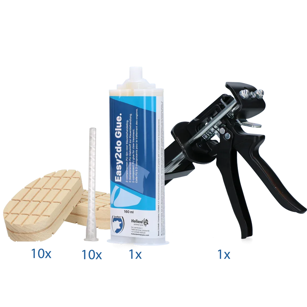 Startpaket Easy2do Kleber 160 ml 10 Anw. - PremiumHobby