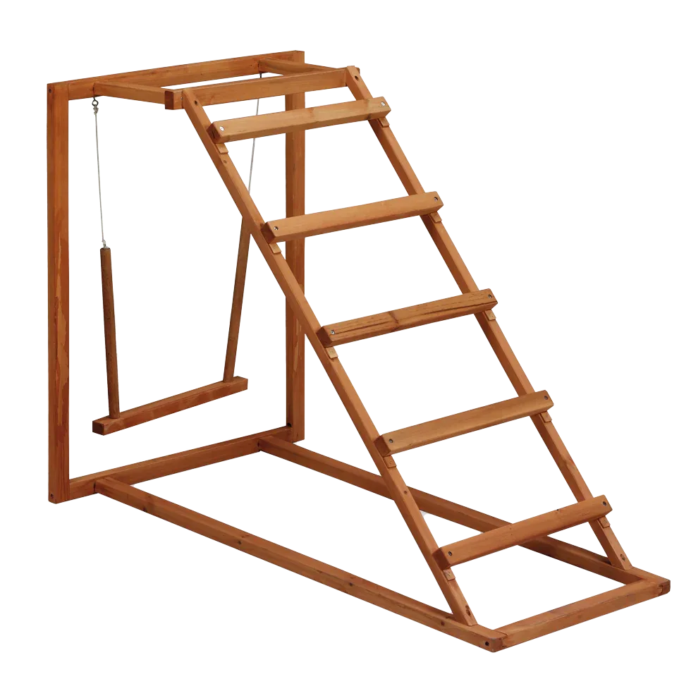 Gaun Chicken activity center - PremiumHobby