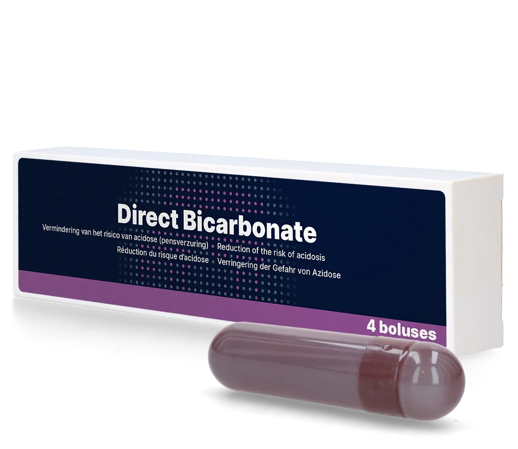 Direct Bikarbonat-Bolus - PremiumHobby
