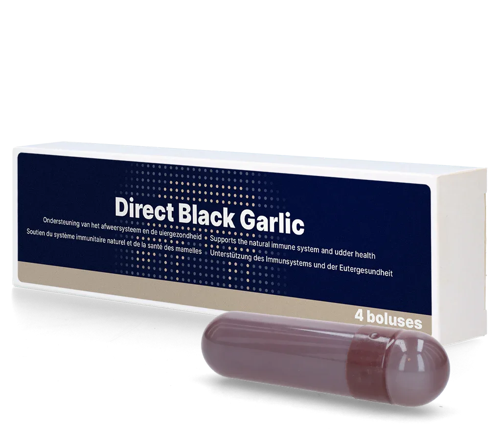 Direct Schwarzer Knoblauch Bolus - PremiumHobby