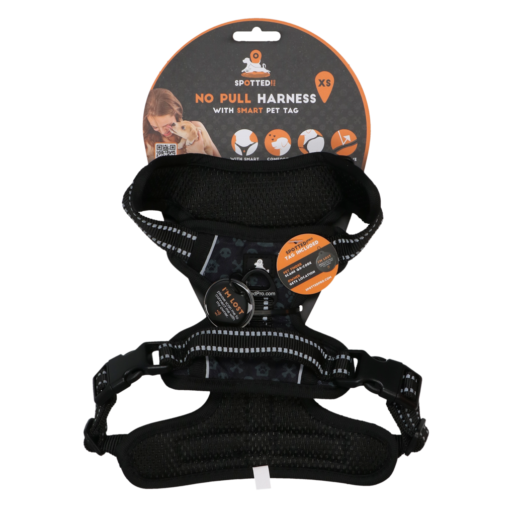 Spotted! PRO Geschirr Anthrazit XS