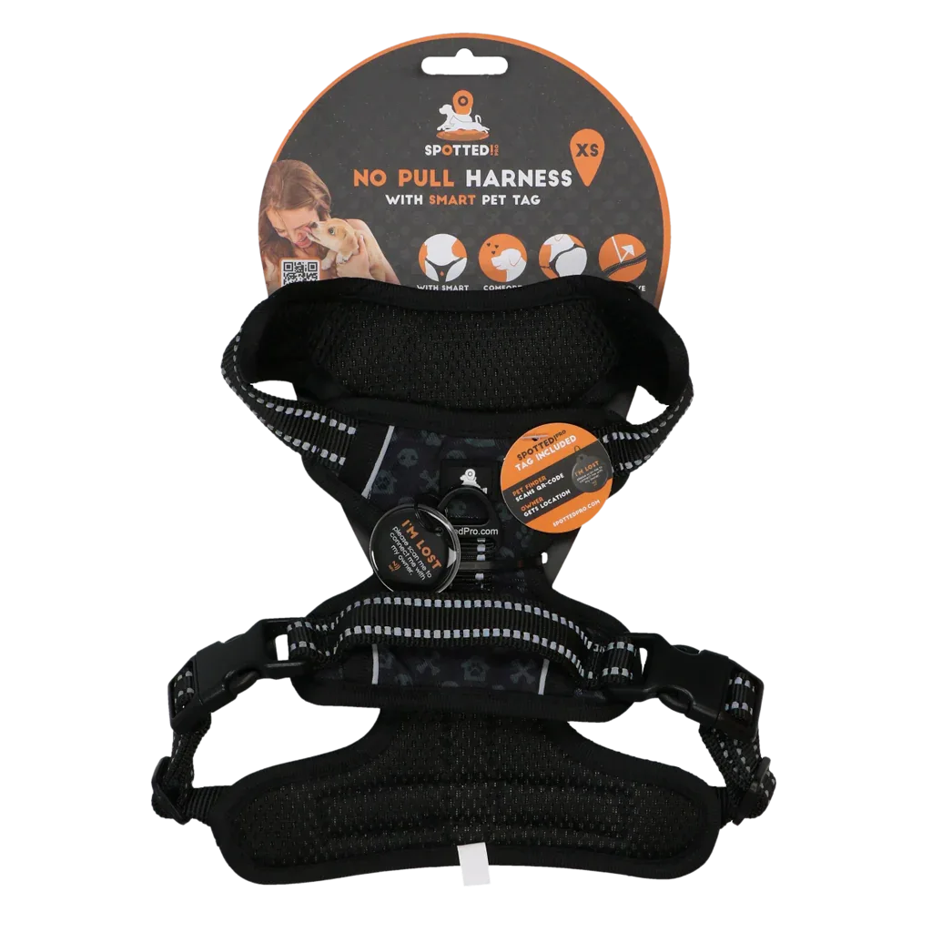 Spotted! PRO Geschirr Anthrazit XS - PremiumHobby