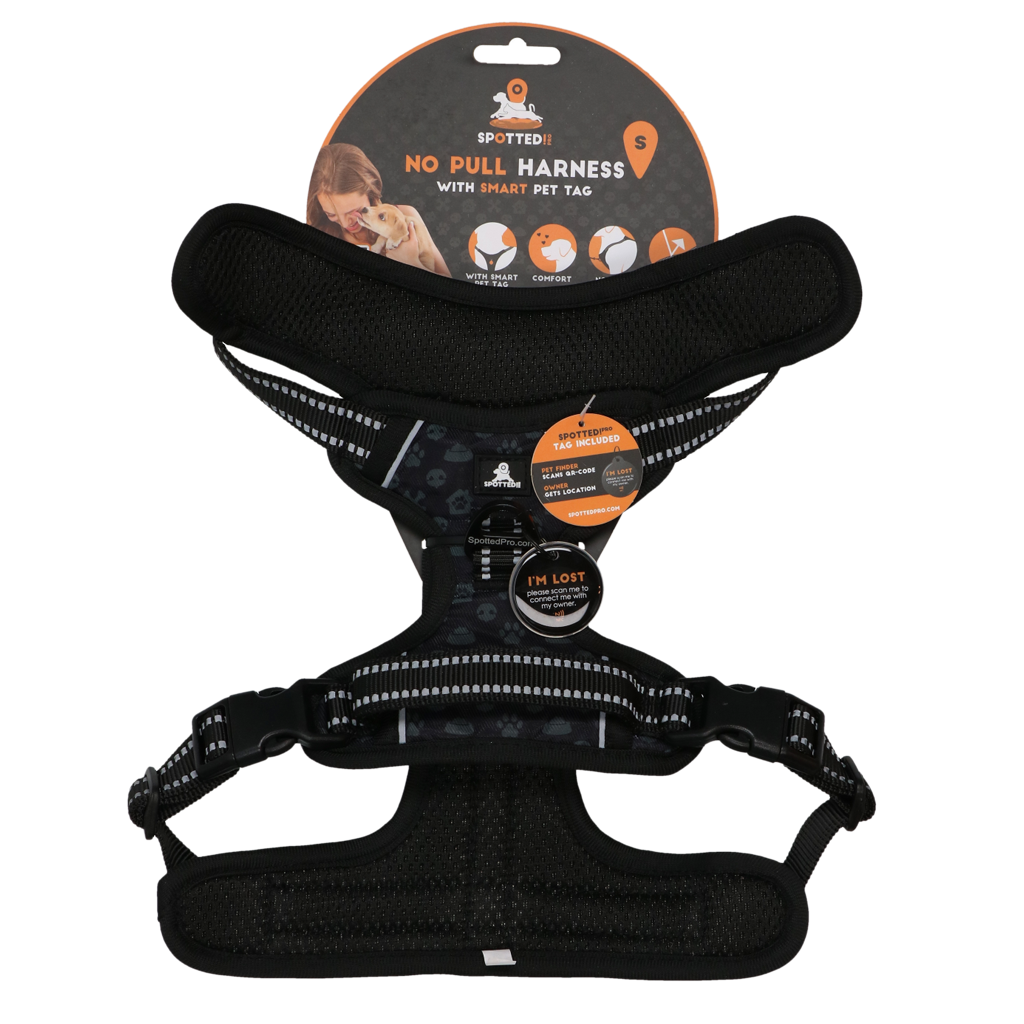 Spotted! PRO Geschirr Anthrazit S