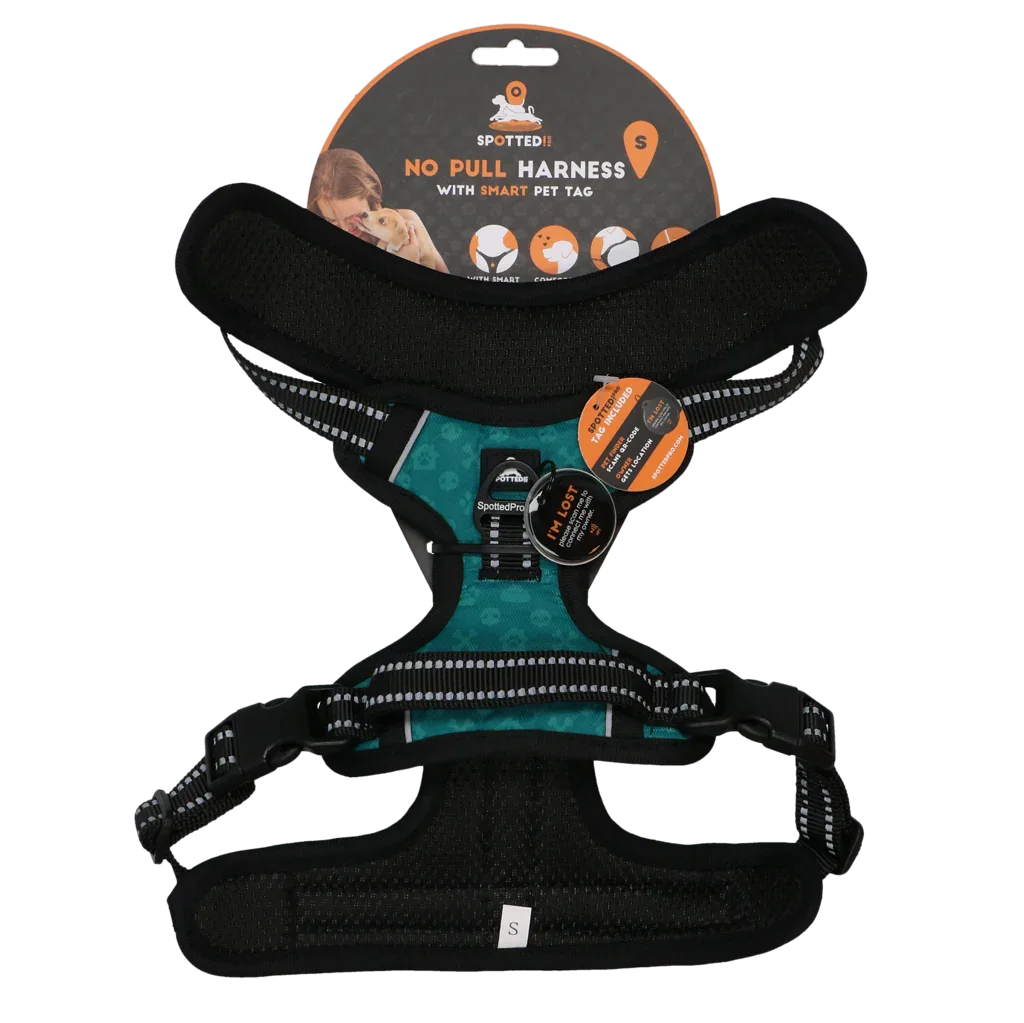 Spotted! PRO Geschirr Grun S - PremiumHobby