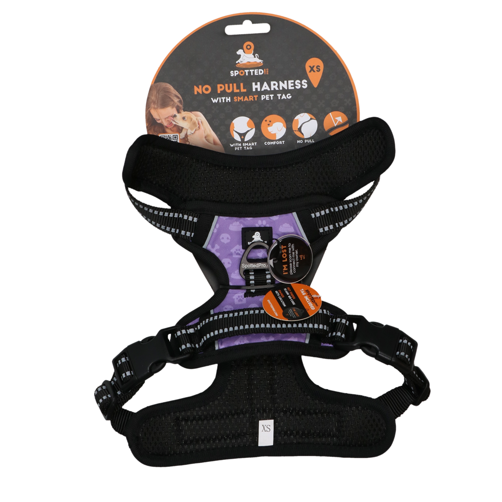 Spotted! PRO Geschirr Lila XS