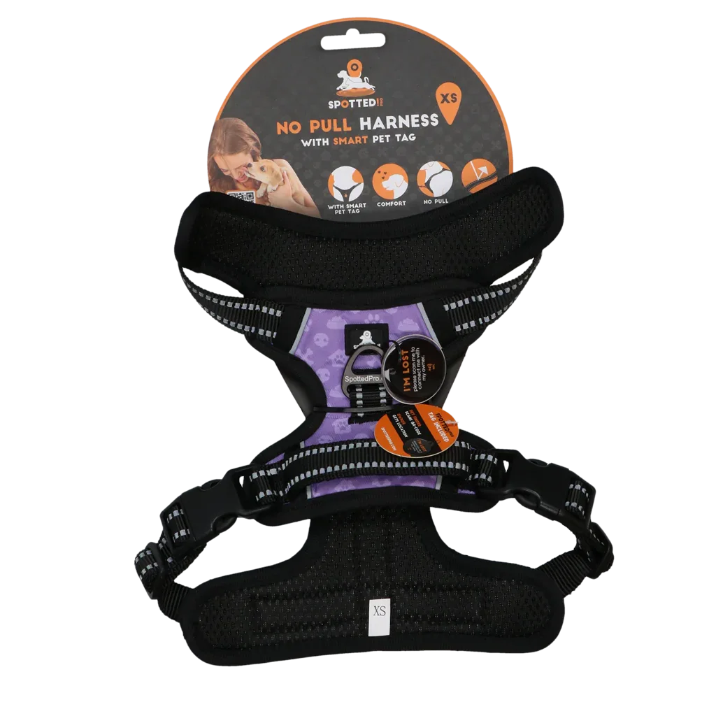 Spotted! PRO Geschirr Lila XS - PremiumHobby