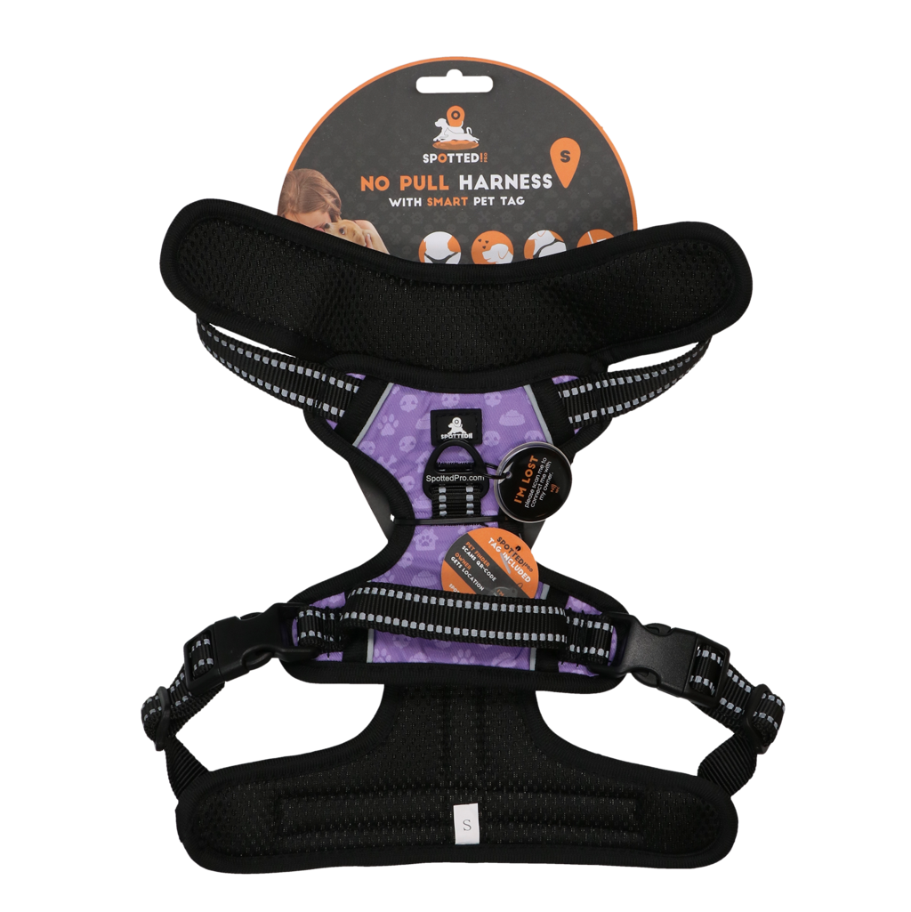 Spotted! PRO Geschirr Lila S