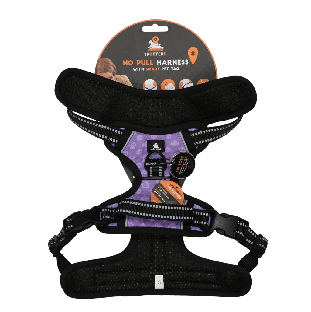 Spotted! PRO Geschirr Lila S - PremiumHobby