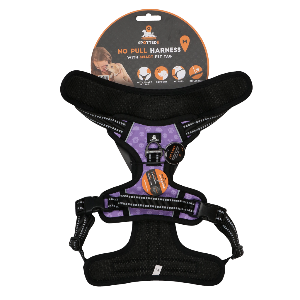 Spotted! PRO Geschirr Lila M