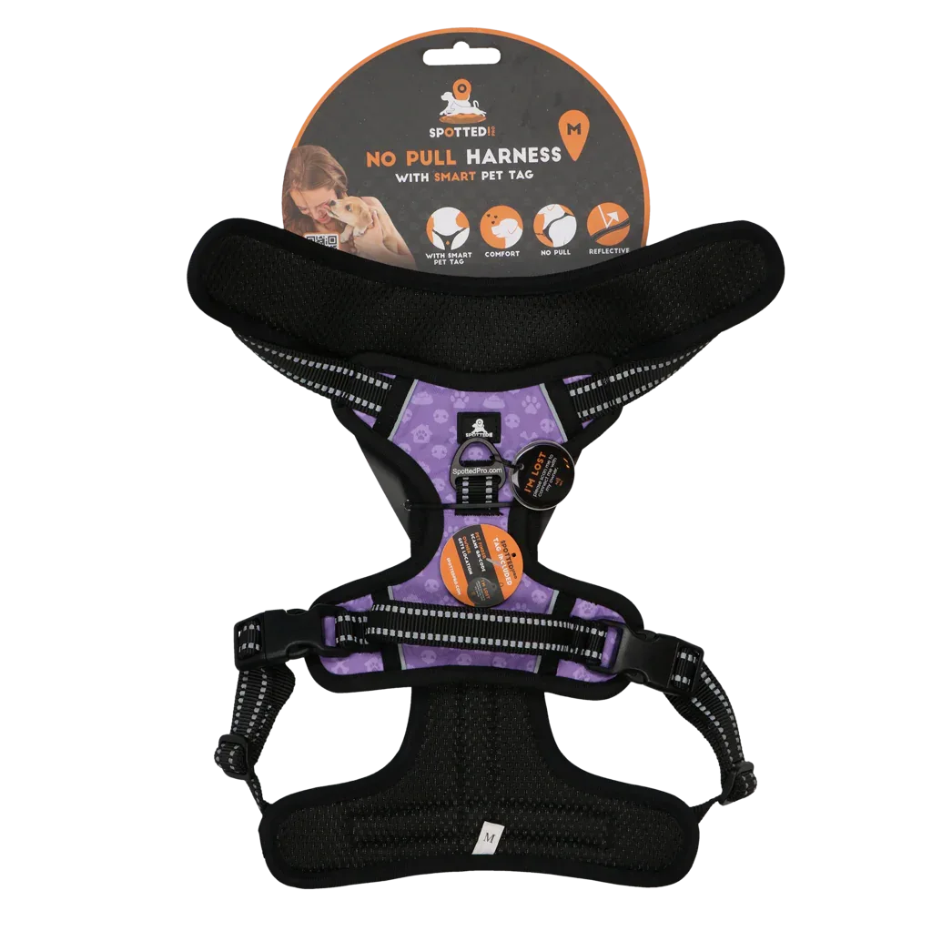 Spotted! PRO Geschirr Lila M - PremiumHobby