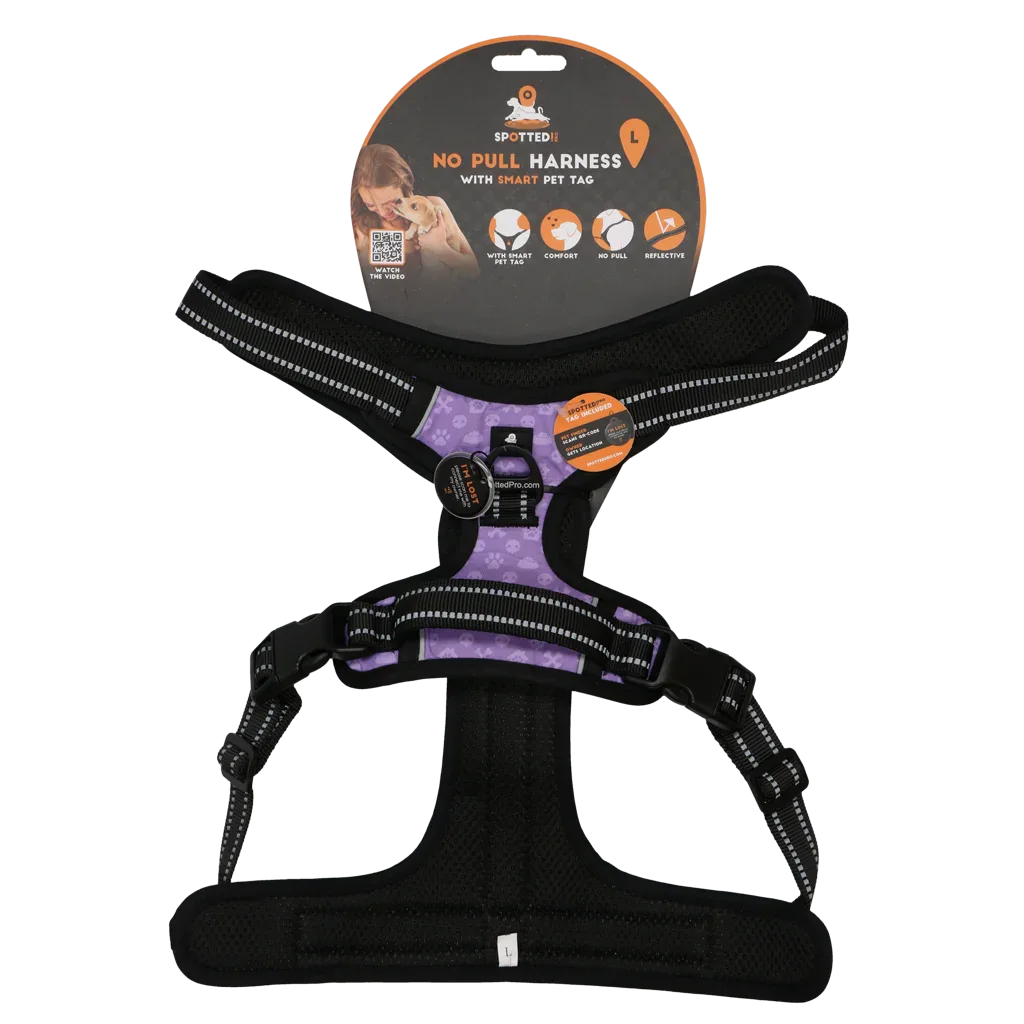 Spotted! PRO Geschirr Lila L - PremiumHobby