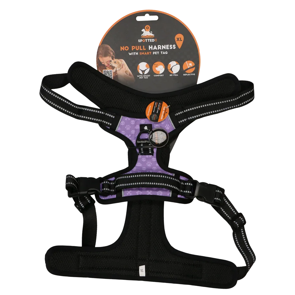 Spotted! PRO Geschirr Lila XL - PremiumHobby