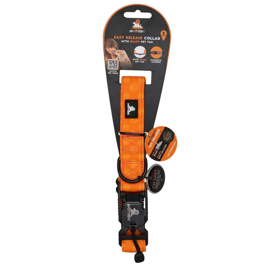 Spotted! PRO Halsband Orange S 40cm - PremiumHobby