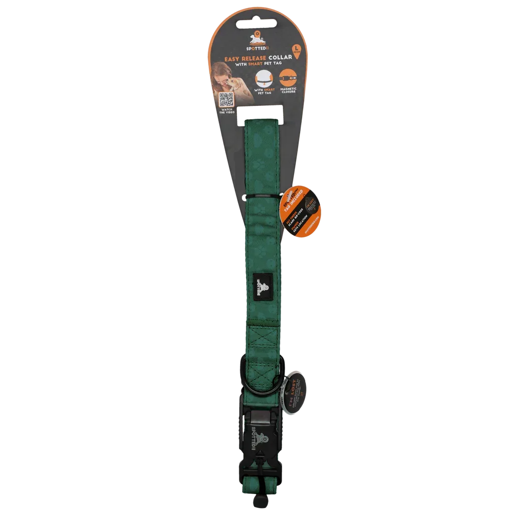 Spotted! PRO Halsband Grun L 60cm - PremiumHobby