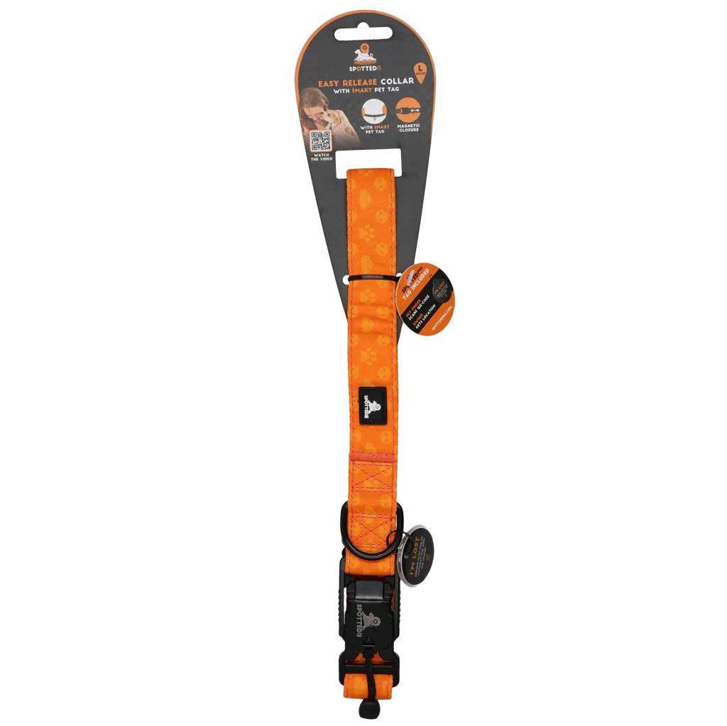 Spotted! PRO Halsband Orange L 60cm - PremiumHobby