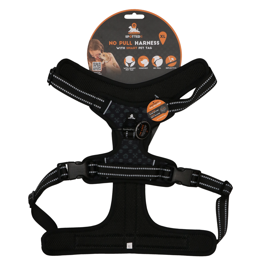 Spotted! PRO Geschirr Anthrazit XL