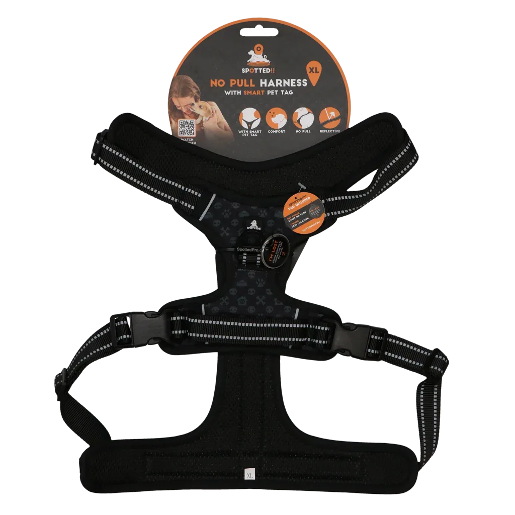 Spotted! PRO Geschirr Anthrazit XL - PremiumHobby