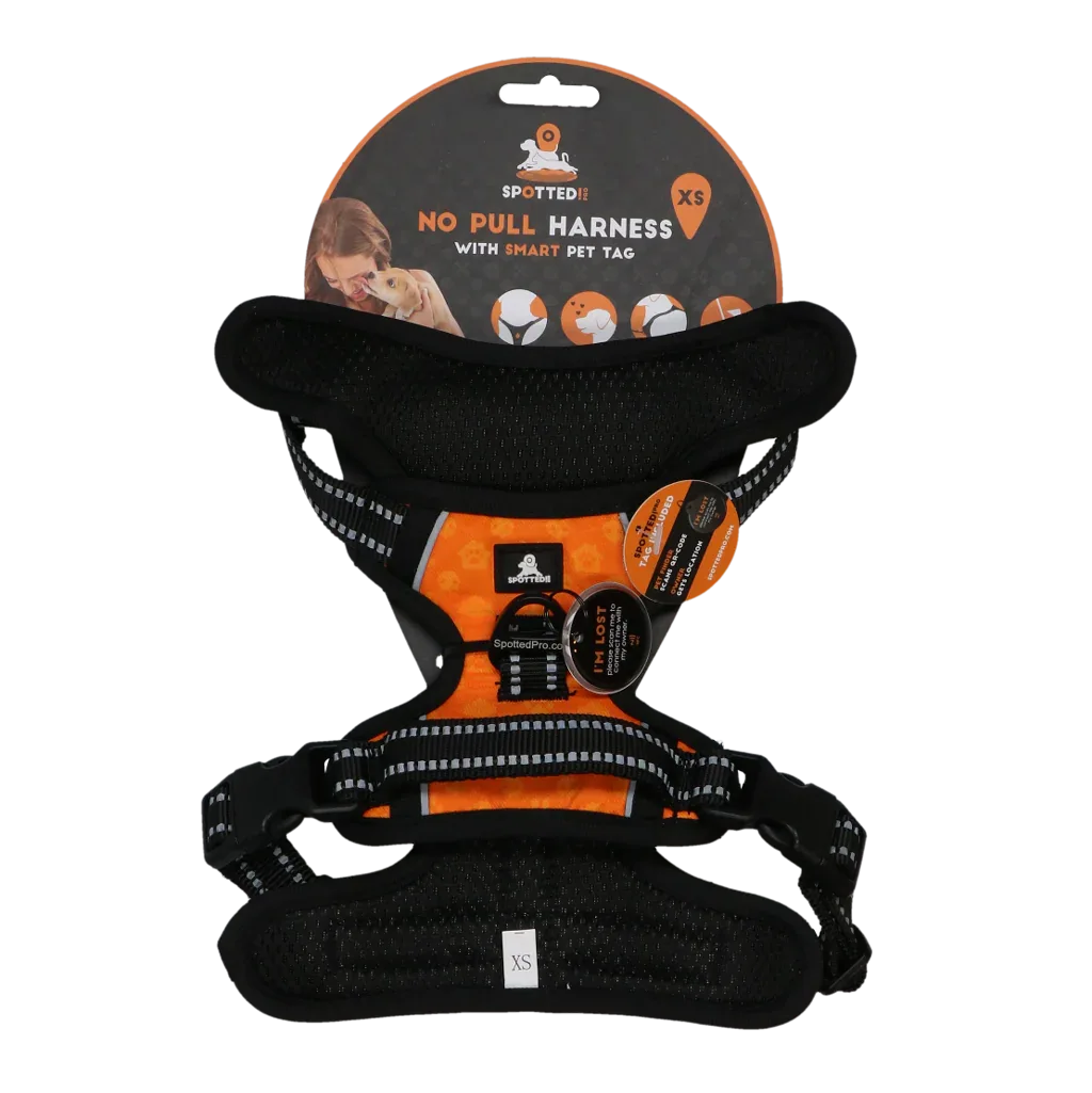 Spotted! PRO Geschirr Orange XS - PremiumHobby