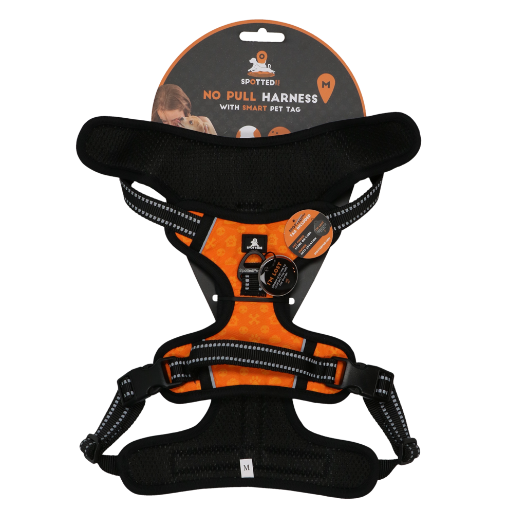 Spotted! PRO Geschirr Orange M