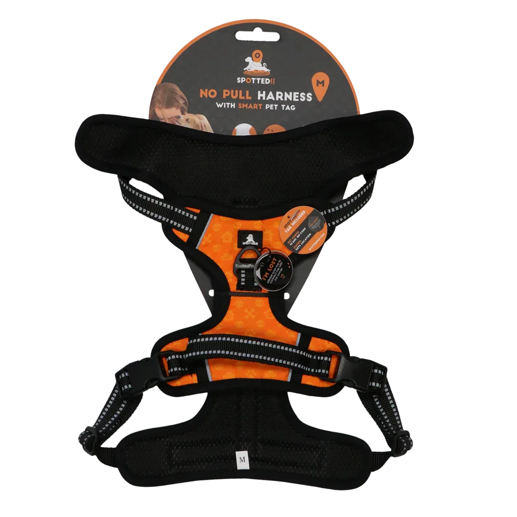 Spotted! PRO Geschirr Orange M - PremiumHobby