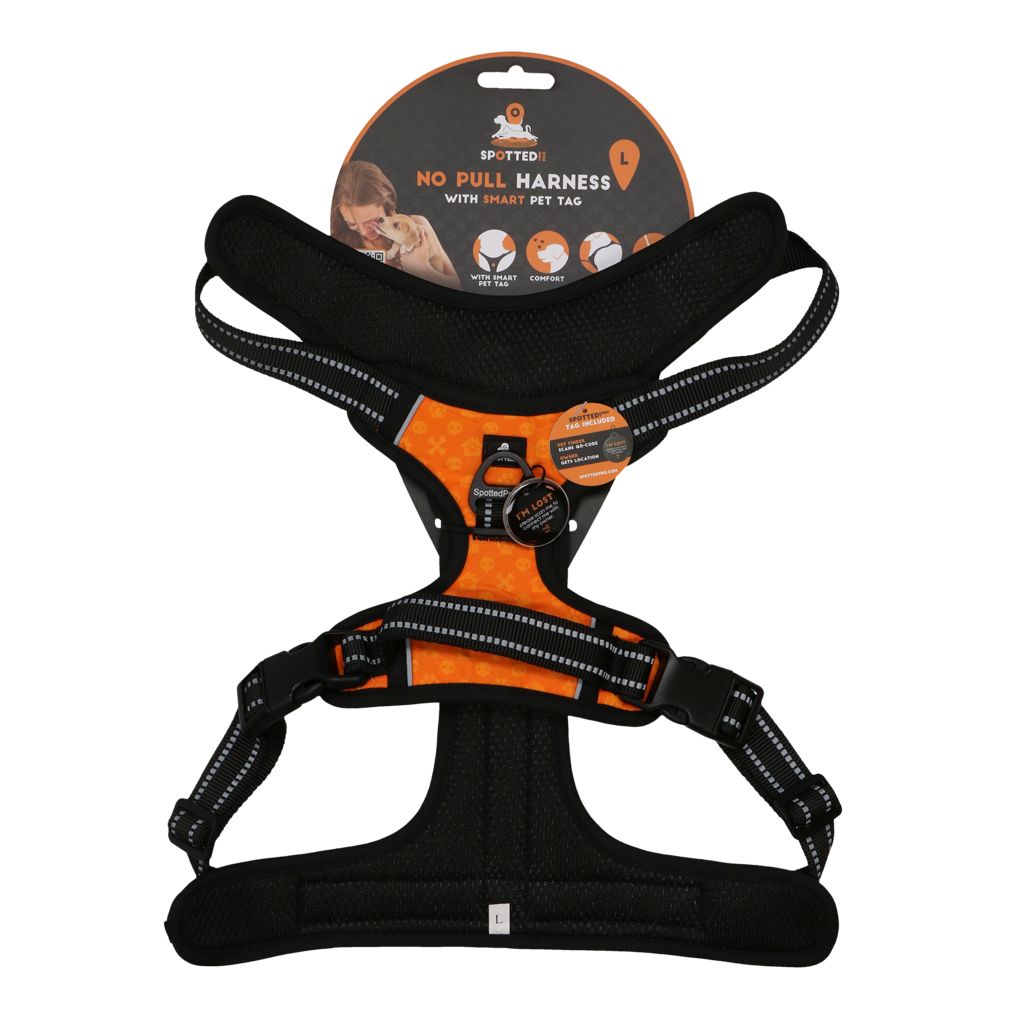 Spotted! PRO Geschirr Orange L