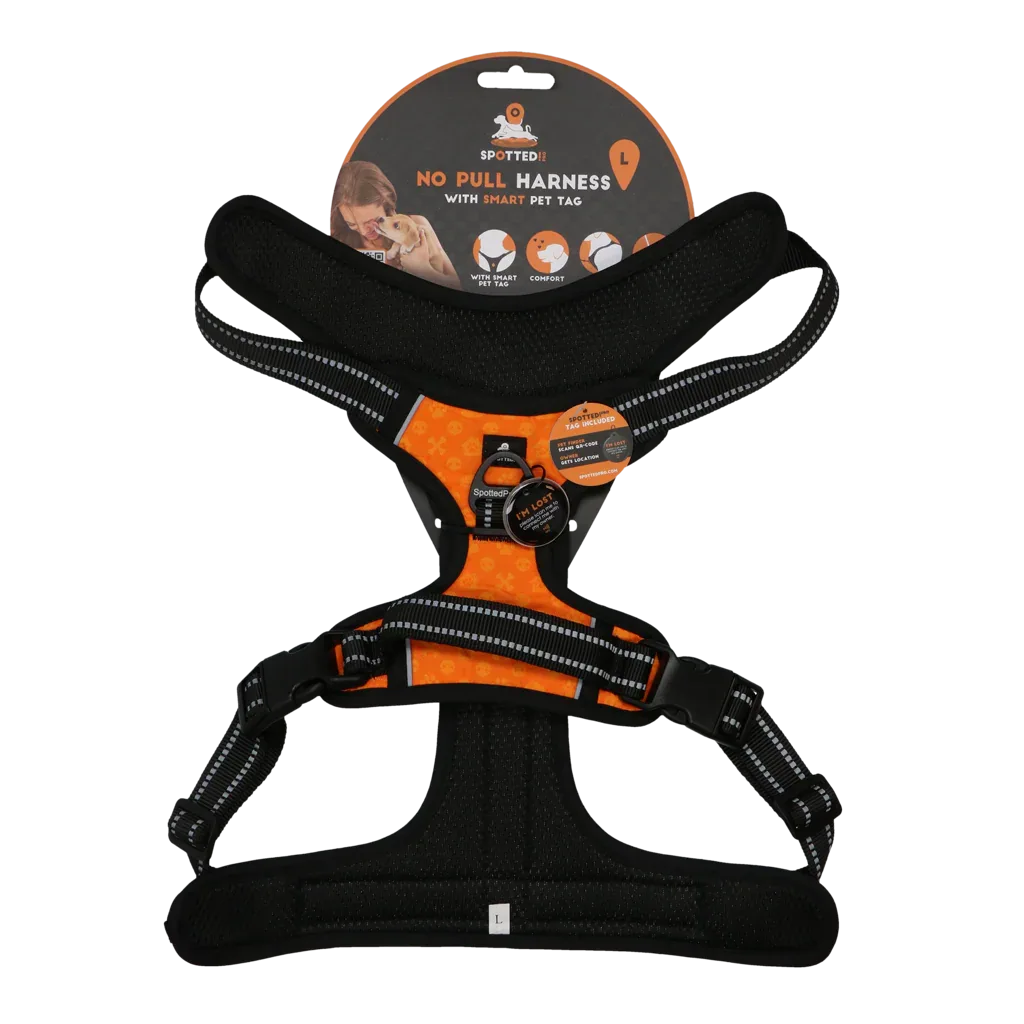 Spotted! PRO Geschirr Orange L - PremiumHobby