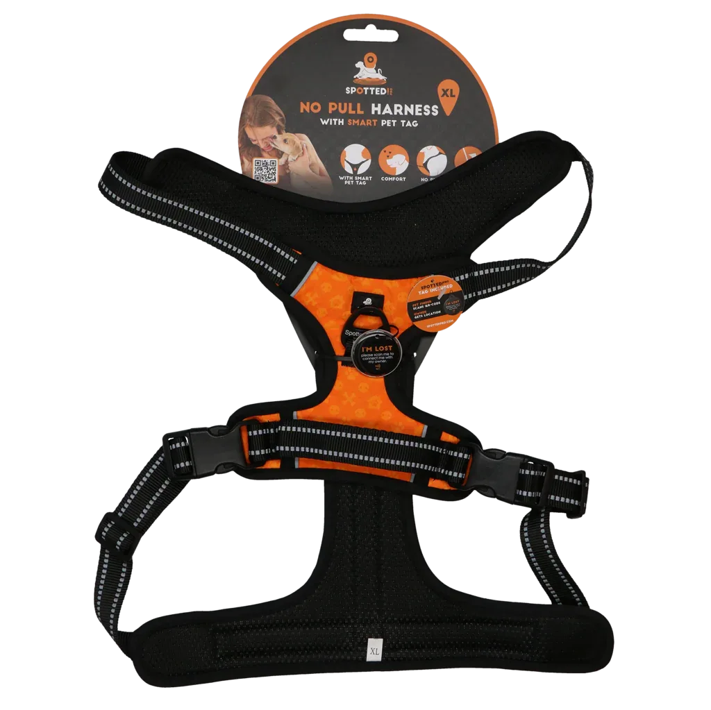 Spotted! PRO Geschirr Orange XL - PremiumHobby
