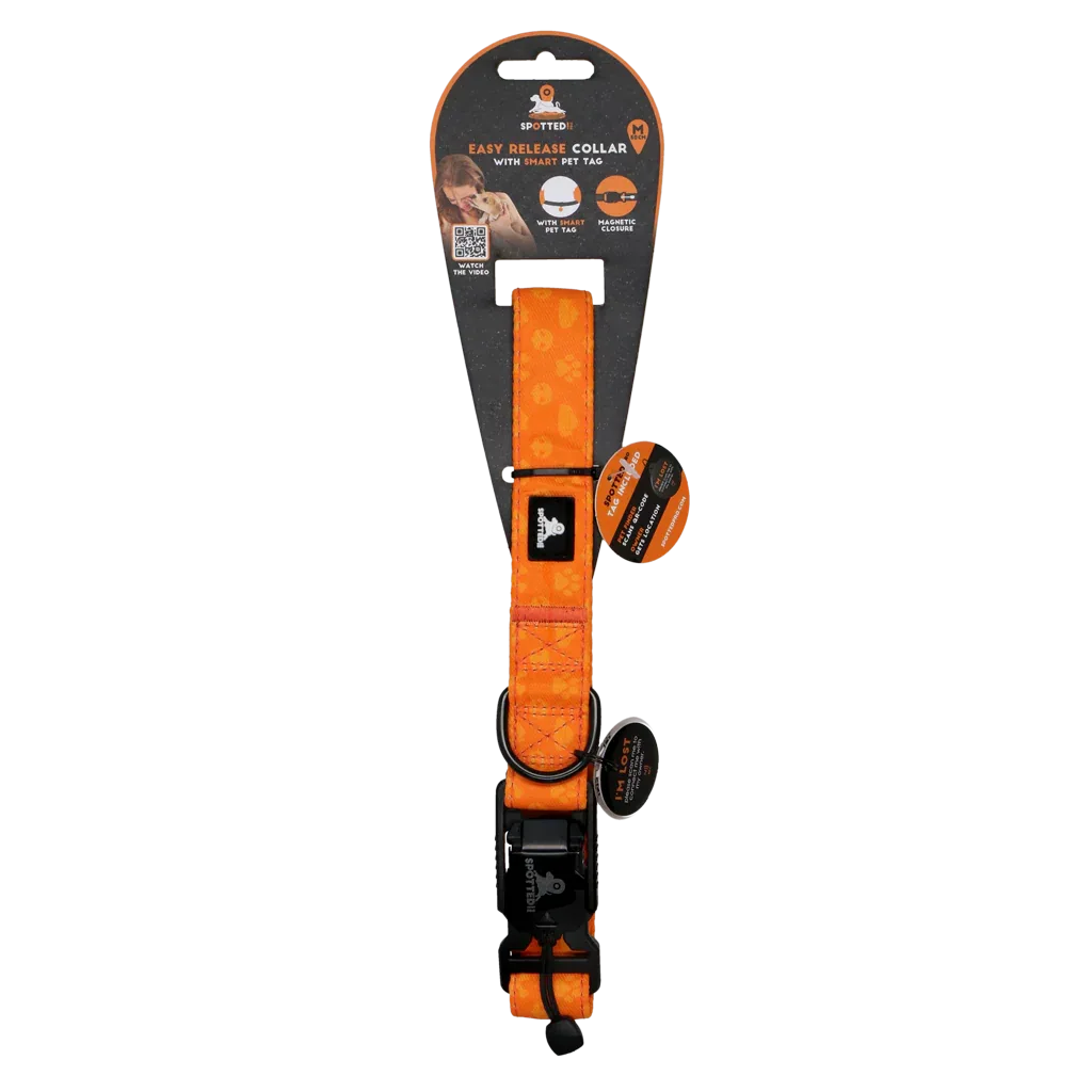 Spotted! PRO Halsband Orange M 50cm - PremiumHobby