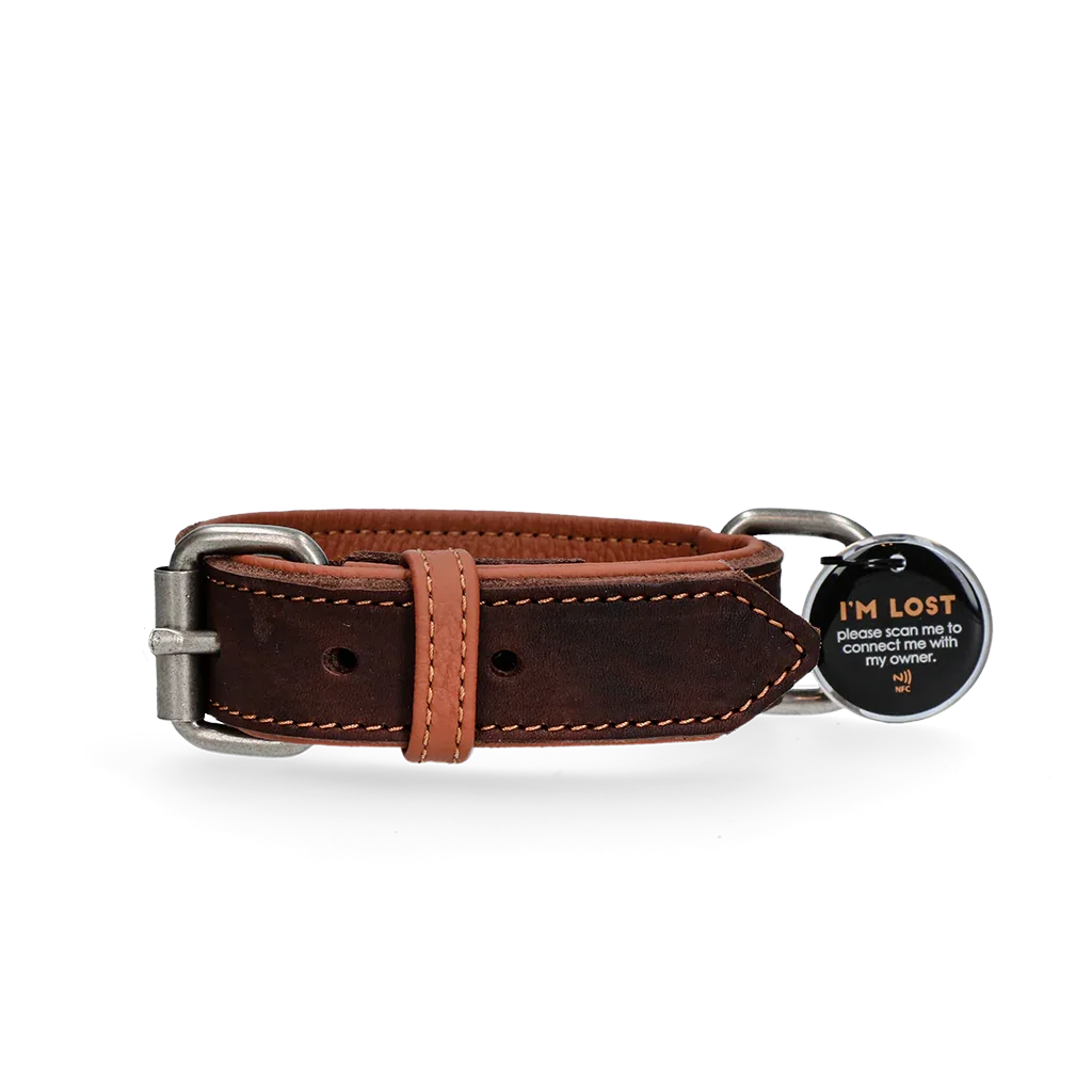 Spotted! Pro Lederhalsband Braun 2,5x40cm - PremiumHobby