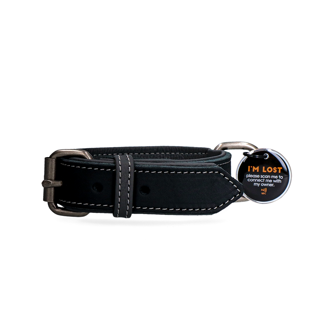 Spotted! Pro Lederhalsband Schwarz 2,5x40cm