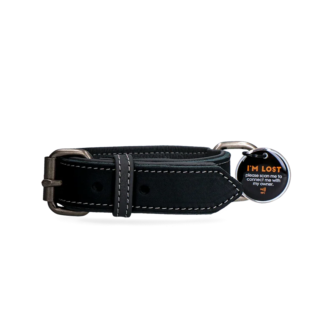 Spotted! Pro Lederhalsband Schwarz 2,5x40cm - PremiumHobby