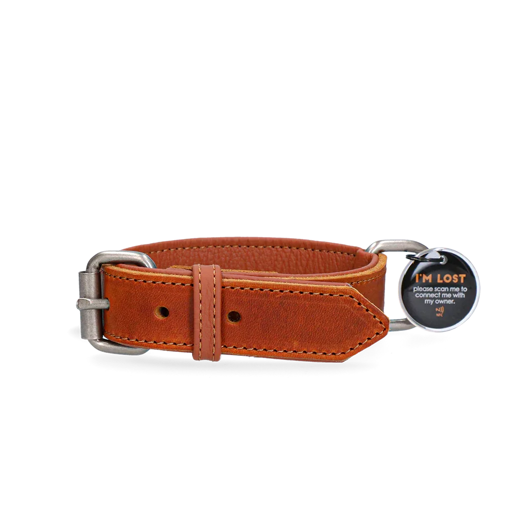 Spotted! Pro Lederhalsband Cognac 2,5x40cm - PremiumHobby