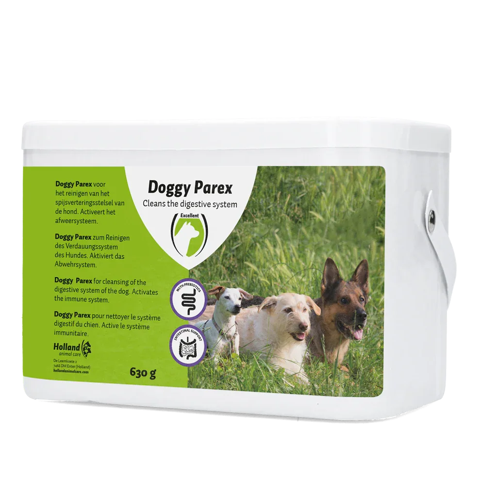 Doggy Parex All Dogs - PremiumHobby