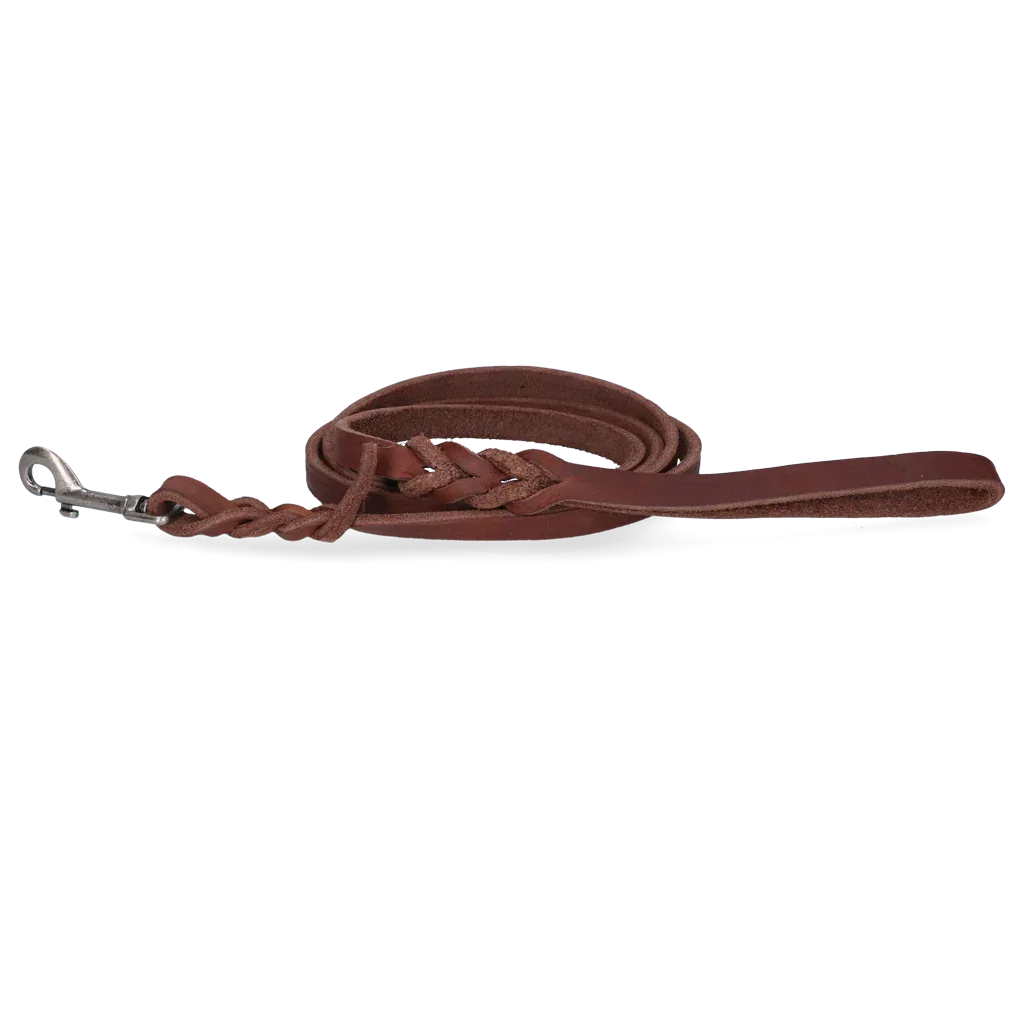 Spotted! Pro Leder Führleine Braun Bolzenhaken 1,2x180cm - PremiumHobby